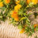 홍화약국 이미지