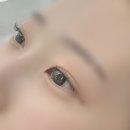 드바이래쉬 이미지