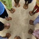 마곡어린이집 이미지