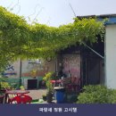 파랑새정원고시텔