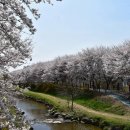 장수천 이미지