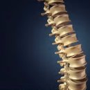 참편안한신경외과의원 이미지