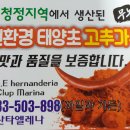 까밀라 이미지