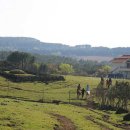 어승생승마장 이미지