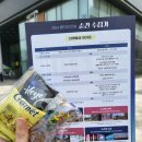 중부대로10R | 2024 용인야간마실 「순간 수집가」 봄빛 마실 다녀 온 후기