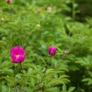 자작나무어린이공원 화장실 이미지