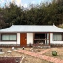 달뿌리집 이미지