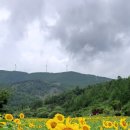 삼수동(신설) 이미지