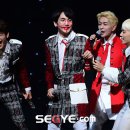 샤이니독 이미지