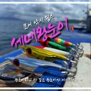 신흥카포스 | 세네왕눈이 에기 문어낚시 사용 후기 및 추천 이유