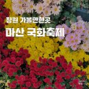 덴바스타 마산어시장점 | 마산 국화축제 불꽃놀이 일정 창원 가을 가볼만한곳