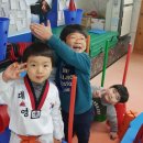 대영태권도체육관 이미지