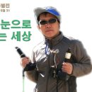 눈으로보는세상 이미지