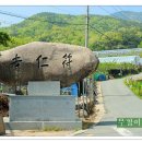 부인사 Daum카페