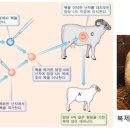 (동물 행동) 24. 몸과 마음의 진화 - 다윈의학 이미지