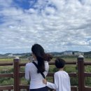 갯골생태공원 이미지