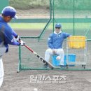 대호 일간스포츠