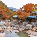 지리산365오토캠핑,펜션 이미지