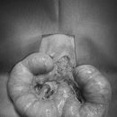 송악 동물병원 이미지