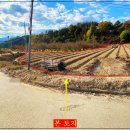 한우사육축사 이미지