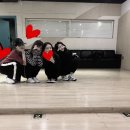 나모 이미지