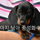 담은 동물병원 이미지