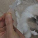 새롬약국 이미지
