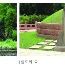 동심초 이미지