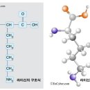 농수산물사이버거래소