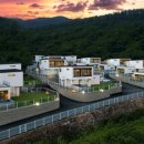 프렌즈 애견 이미지