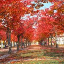 대구서평초등학교 이미지