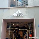 이지스토아