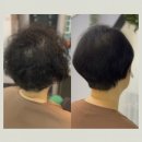 자연앤동물병원 미용실 | 서울삼성병원근처 로그헤어앤스파에서 암치료후 첫 미용실방문 후기