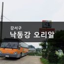 낙동강오리 이미지