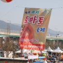 [강서구] 제9회 대저토마토축제(2010.04.04 ~ 2010.04.05) 이미지