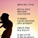 꿈에 본 여인 / 이수만시인 (사) 서울시소기업소상공인연합회 초대회장 이미지