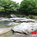 송계사 - 1860 | 송계사