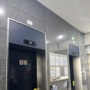 생장 | 일산 백석동ㅣ속눈썹 생장케어 리바이브7 스파케어 솔직후기 하니뷰 일산점