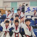 첨단태권도체육관 이미지