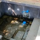 남산1리(선화) 경로당 이미지