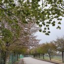 선유3리 이미지