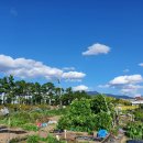 대왕농장2 이미지