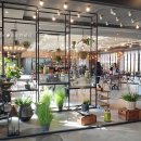 장구랍 | 라떼와 태안여행 홍성 애견동반카페 에덴힐스 힐링파크 카페 알베로241