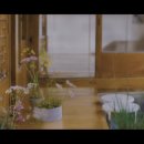 이웃꽃집 이미지