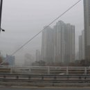 판교동629-2 이미지