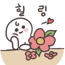대가호수카페