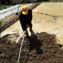 서영농장 이미지