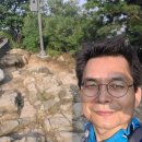 개미행정사 이미지