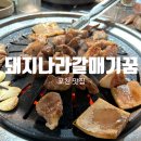 돼지꿈 | 괜찮은데 고기의 질도 중요하다고 생각하는 사람이라면 가야할 곳 &#34;돼지나라 갈매기꿈&#34; 내돈내산 후기