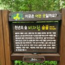 제주 휠체어투어 이미지